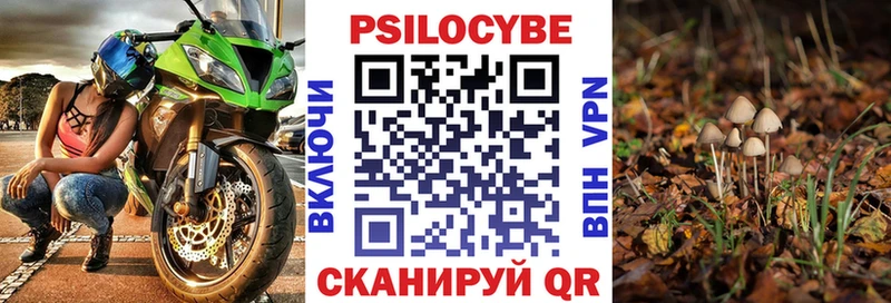 где можно купить   Среднеуральск  Псилоцибиновые грибы прущие грибы 